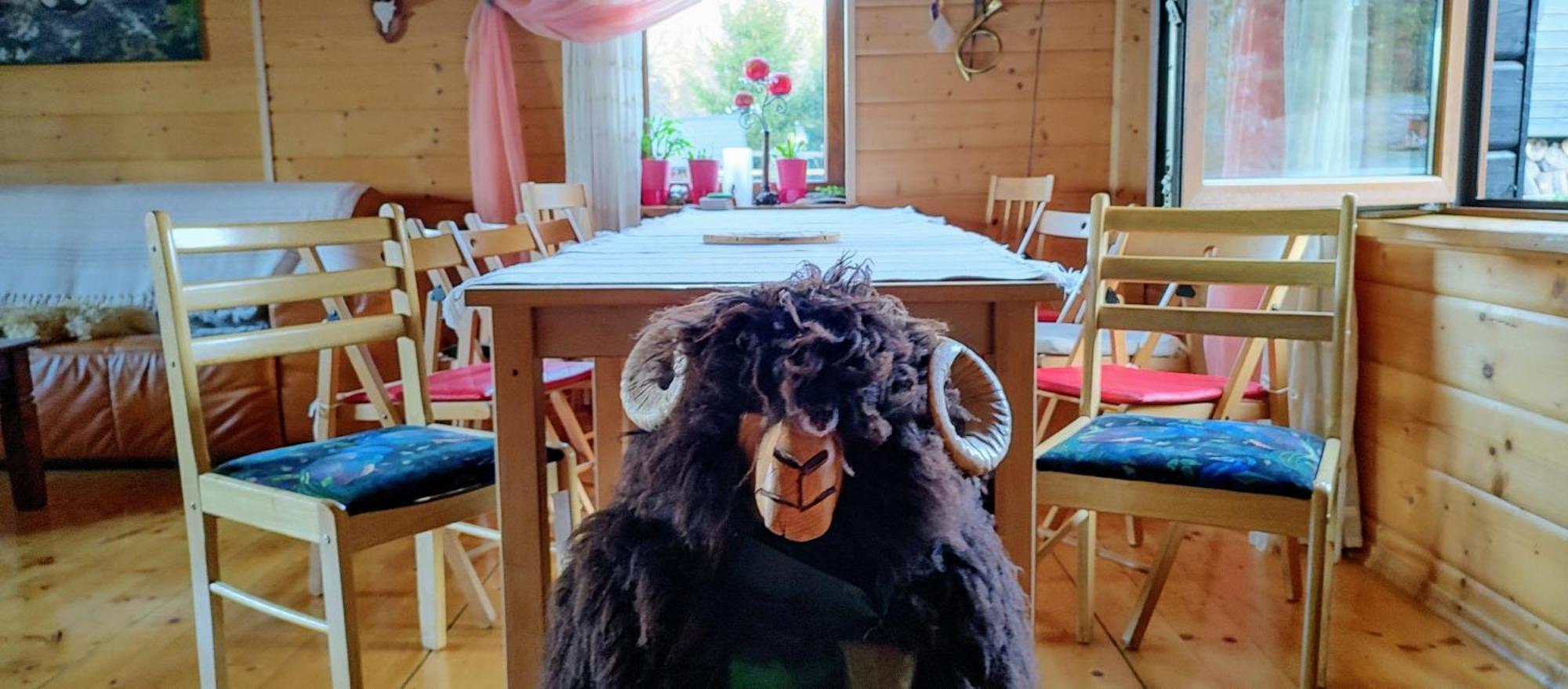 Beskidzka Ostoja Koszarawa Eksteriør bilde